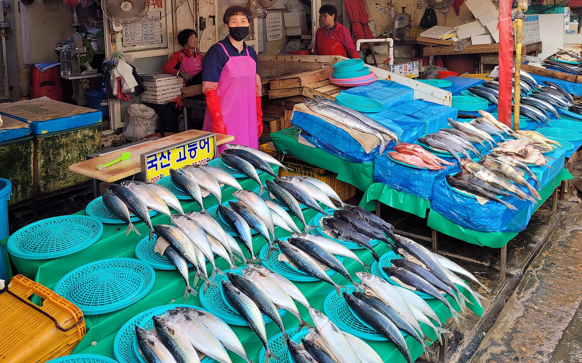 Mackerel laid out on blue trays at Jagalchi Market