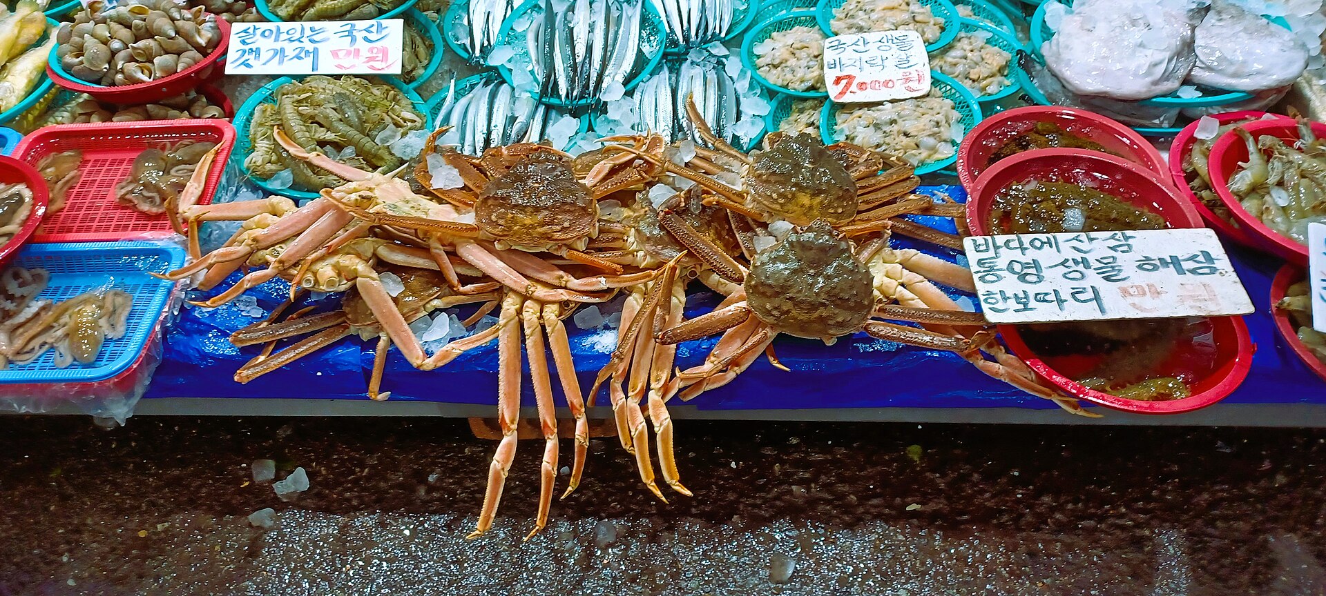 Snow crabs and shellfish on display at Mangwon Market